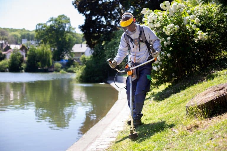 Illustration Vous voulez travailler dans les métiers du paysage ?