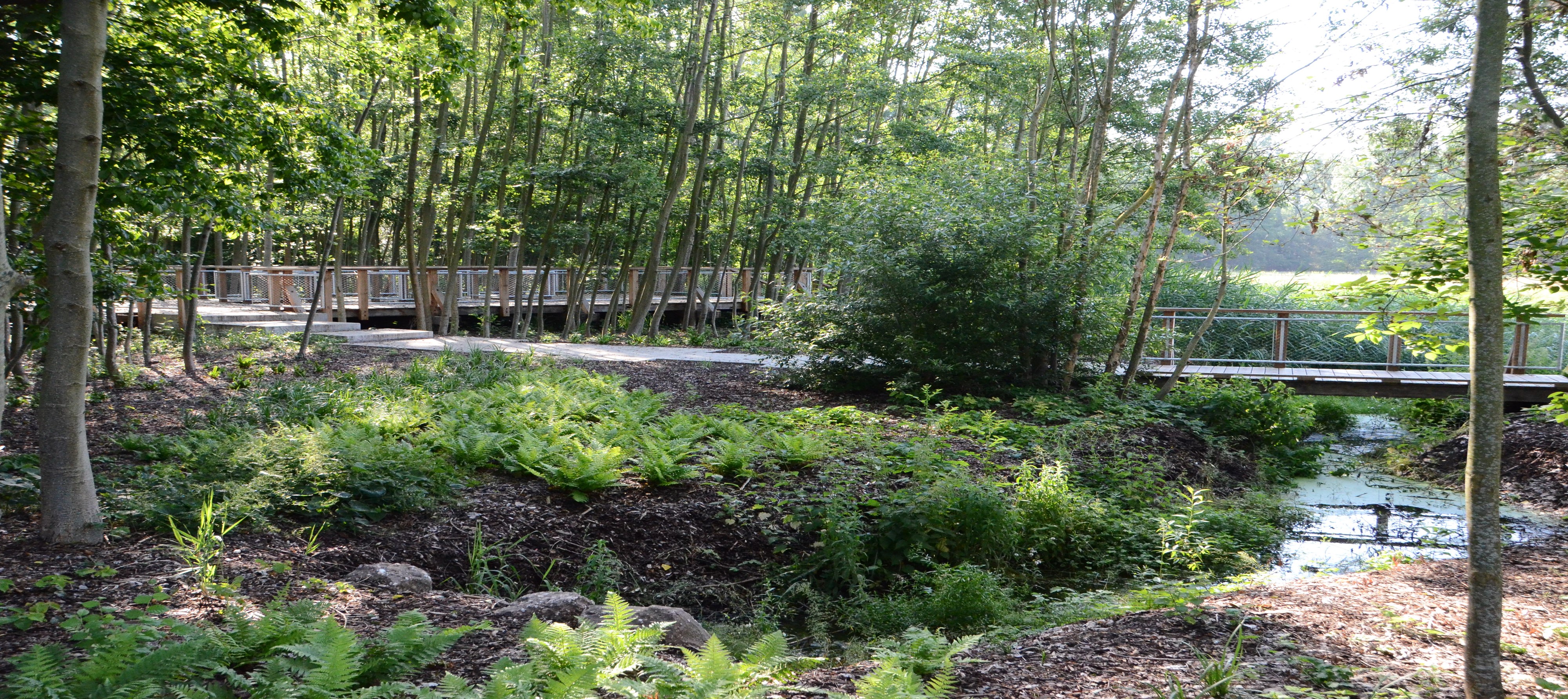 Illustration Appels à projets (AAP), concours et appels à manifestation d’intérêt (AMI) pour les entreprises de génie écologique