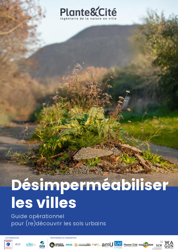 Illustration Plante & Cité publie un guide sur la désimperméabilisation des villes : un défi environnemental majeur