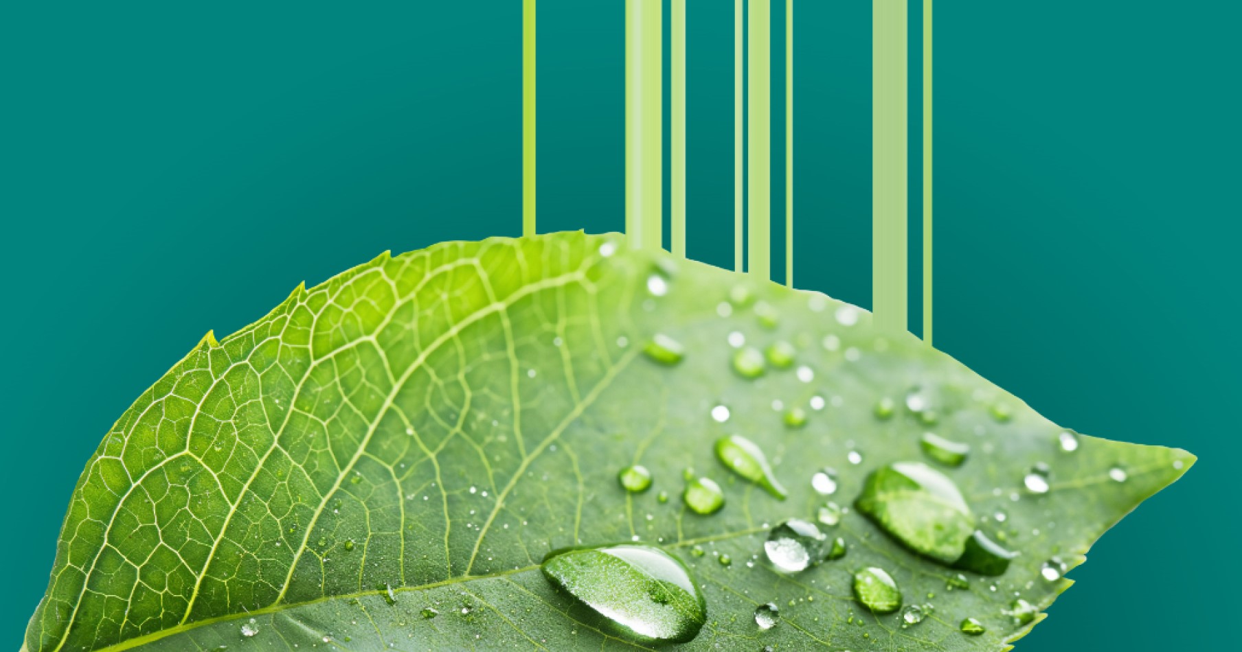 Illustration Lancement des Paysalia Innovation Awards 2025