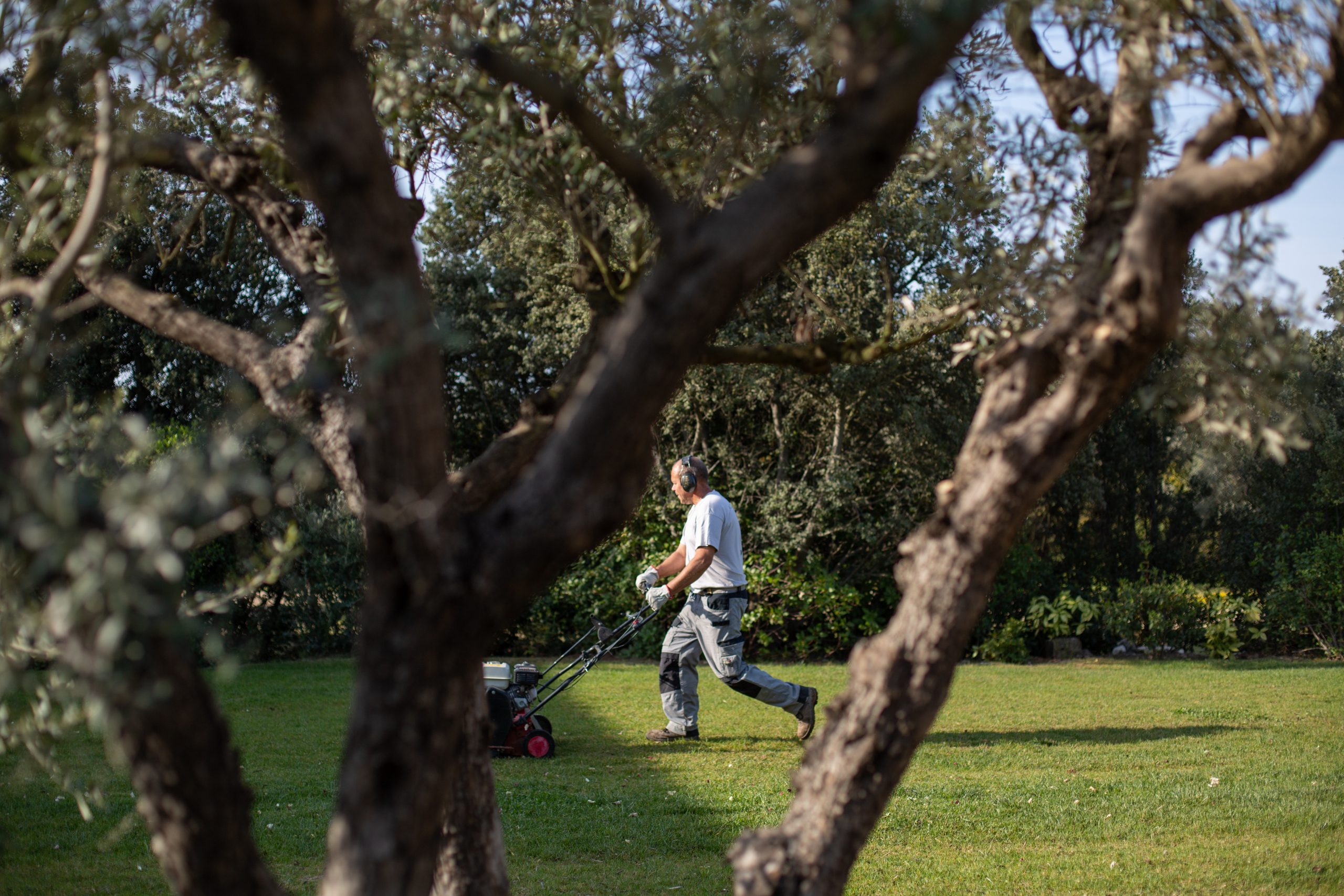 Illustration Interdiction de tonte ? L’Unep vous éclaire sur le sujet.