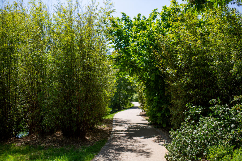Illustration Formation spécialiste du végétal en Bretagne : CQP Vert