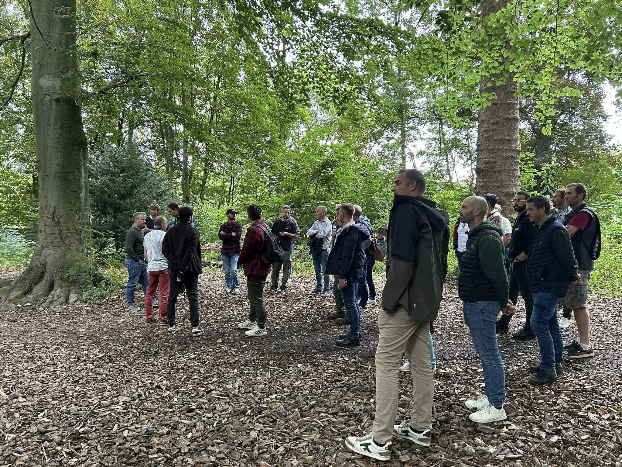 Illustration Journée de l’Arbre | Un évènement dédié aux élagueurs le 18 septembre 2025 à Lille